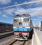 GO V0320c Tal