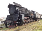 Mus-Wol Ol49-07
