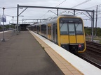 CRett6221 WolliCr