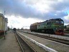 LDZ V01-1151b Gul