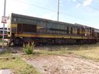 ZCG V661142 Depo-PG