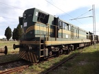 ZCG V661315b Depo-PG