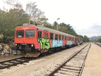 HZ VT 7122-034 Lup