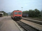 HZ VT 7122-012 Lup