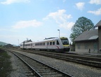 HZ VT 7123-013 Vrh