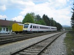 HZ VT 7123-014 Vrh
