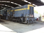SRHC V202 Sey