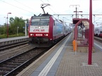 CFL E 4009 Pet