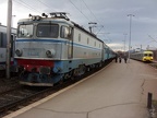 CFR E400512 Bra