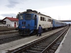 CFR V600694 Sib