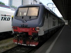 FS E464-191 Chia