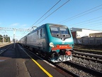FS E464-495 Sav