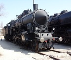 Mus-BUD D301-016