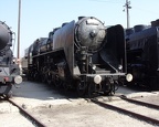Mus-BUD D303-002