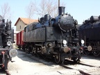 Mus-BUD D342-006