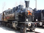Mus-BUD D375-1032