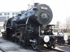 Mus-BUD D520-034