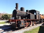 Mus-Cam TCDD-03355