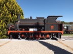 Mus-Cam TCDD-03362