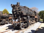 Mus-Cam TCDD-45002