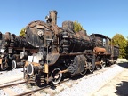 Mus-Cam TCDD-45132b