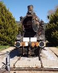 Mus-Cam TCDD-45132