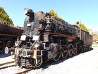 Mus-Cam TCDD-45172b