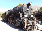 Mus-Cam TCDD-45172c