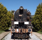 Mus-Cam TCDD-45172