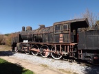 Mus-Cam TCDD-45501b