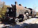 Mus-Cam TCDD-45501