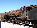 Mus-Cam TCDD-46059