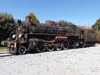 Mus-Cam TCDD-46244b