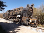 Mus-Cam TCDD-55037