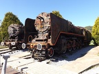 Mus-Cam TCDD-56045b