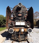 Mus-Cam TCDD-56116