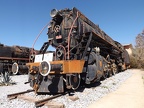 Mus-Cam TCDD-56337d