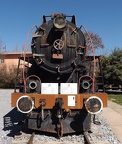 Mus-Cam TCDD-56337