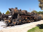 Mus-Cam TCDD-56523b