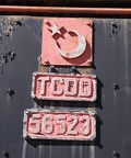 Mus-Cam TCDD-56523d
