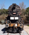 Mus-Cam TCDD-56523