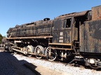 Mus-Cam TCDD-56712b