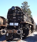 Mus-Cam TCDD-56712