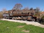 Mus-Cam TCDD-56914