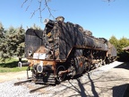 Mus-Cam TCDD-57001b