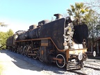 Mus-Cam TCDD-57001c