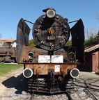 Mus-Cam TCDD-57001