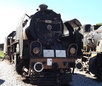 Mus-Cam TCDD-57018b