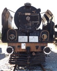 Mus-Cam TCDD-57018