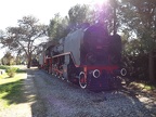 Mus-Cam TCDD-57023b